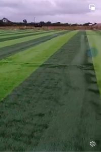 Hon. Lawyer Abu Jinapor Constructs Astroturf for Bosunu Community, Boosting Local Activities